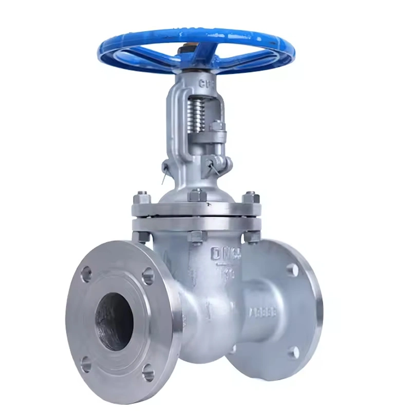 ANSI API DIN BS DN600 PN16 Ductile Iron Resilient Seated Gate Valve
