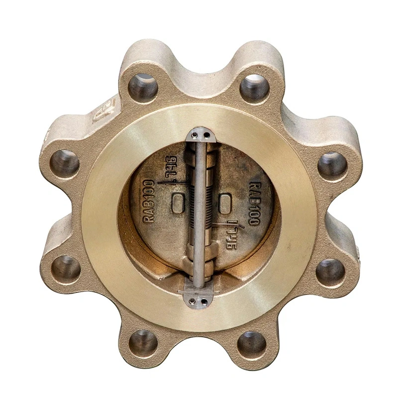 ANSI C95800 Double Plate Aluminum Bronze Lug Type Swing Check Valve