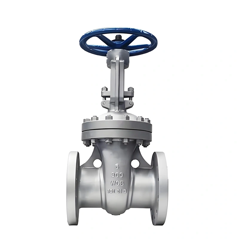 ANSI Class 150 Manual Stainless Steel Gate Valve Cast Steel Rising Stem Flange Gate Valve Resilient Seat Gate Valve