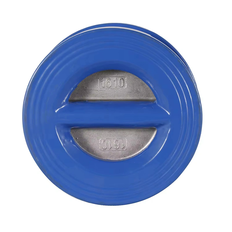 ANSI DN150 PN16 Diaphragm Cast Iron Non-return Spring Dual Plate Wafer Check Valve