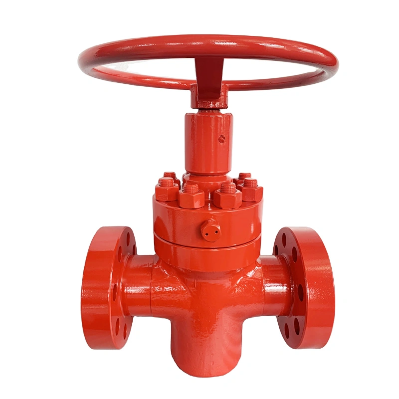 API 6A Manual Forged API 6A Slab Oil Gas Gate Valve 