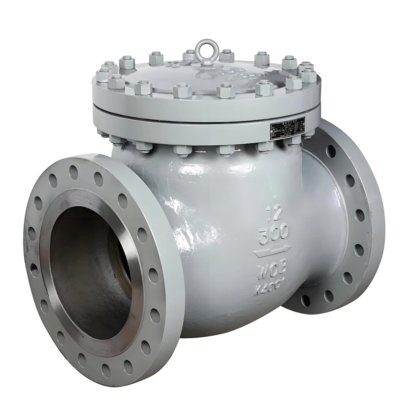 API JIS DIN CLASS 300 Flanged Carbon Steel/Stainless Steel Swing Check Valve