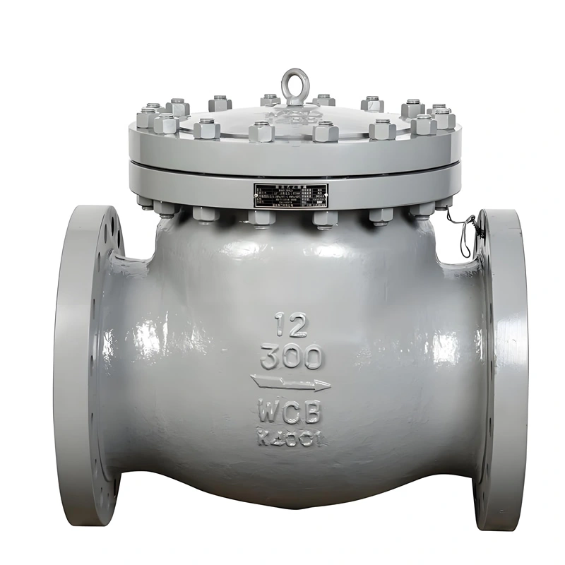 API JIS DIN CLASS 300 Flanged Carbon Steel/Stainless Steel Swing Check Valve