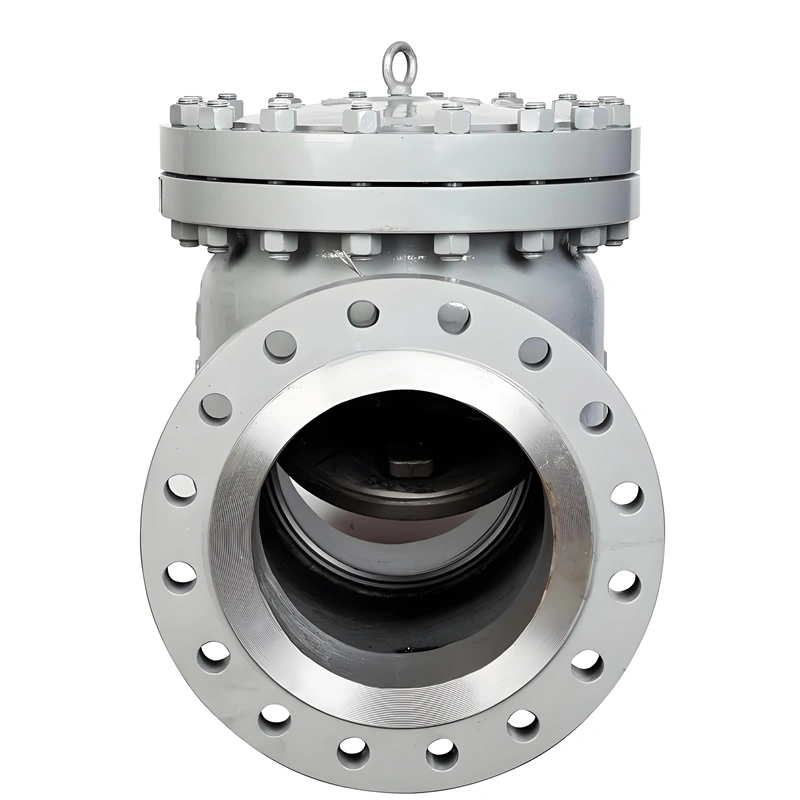 API JIS DIN CLASS 300 Flanged Carbon Steel/Stainless Steel Swing Check Valve