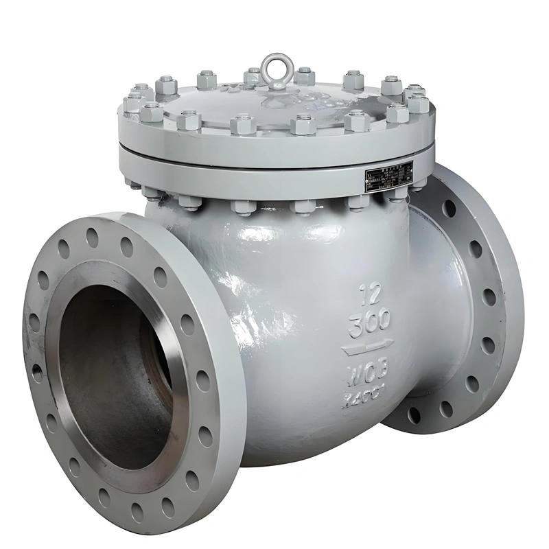 API JIS DIN CLASS 300 Flanged Carbon Steel/Stainless Steel Swing Check Valve