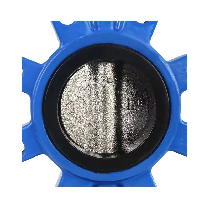 High Performance API609 Manual EPDM Seat 304 Stainless Steel Lug Type Cast Iron Concentric butterfly Valve