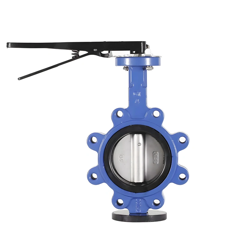 High Performance API609 Manual EPDM Seat 304 Stainless Steel Lug Type Cast Iron Concentric butterfly Valve
