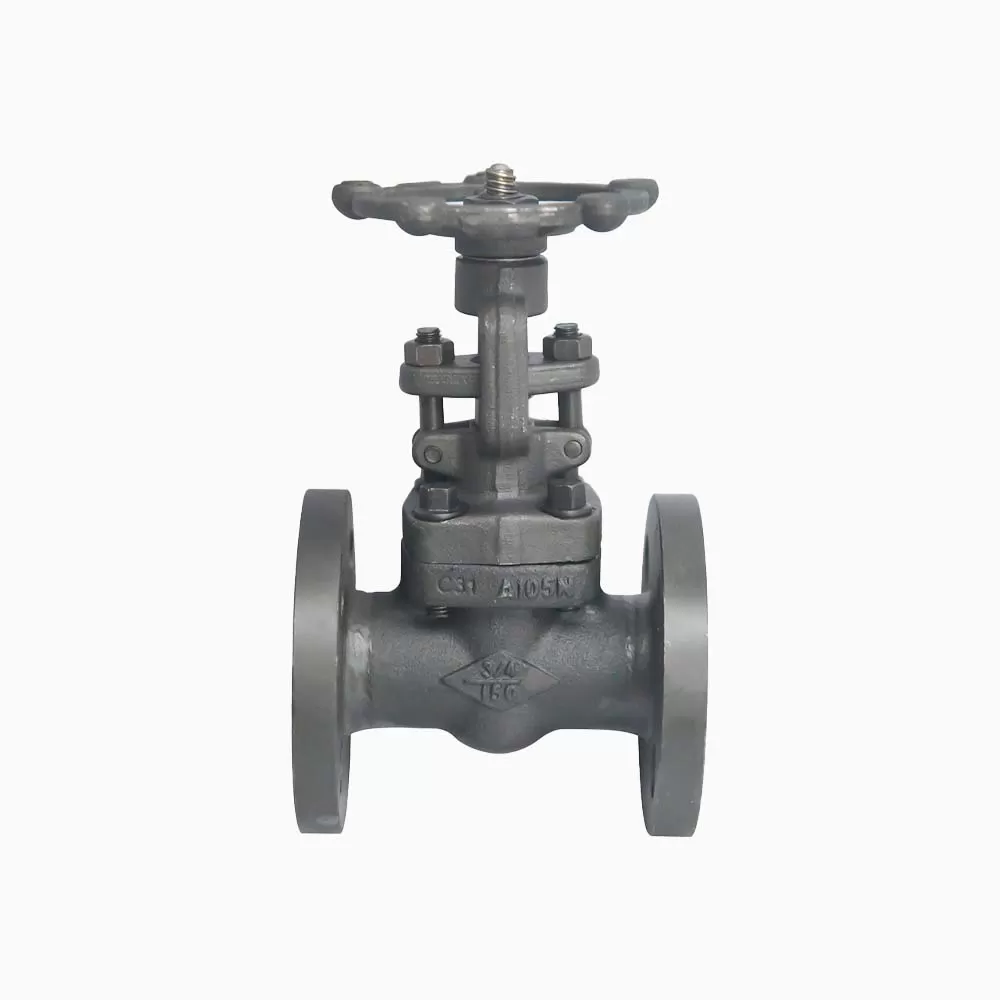 API6D DN20 DN50 150LB Flange ASTM A105 Forged Steel Gate Valve