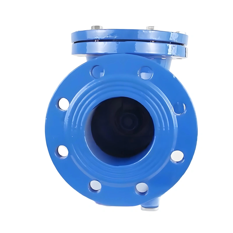 Ansi 6 Inch PN16 Cast Steel Swing Check Valve
