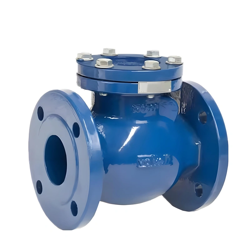 Ansi 6 Inch PN16 Cast Steel Swing Check Valve
