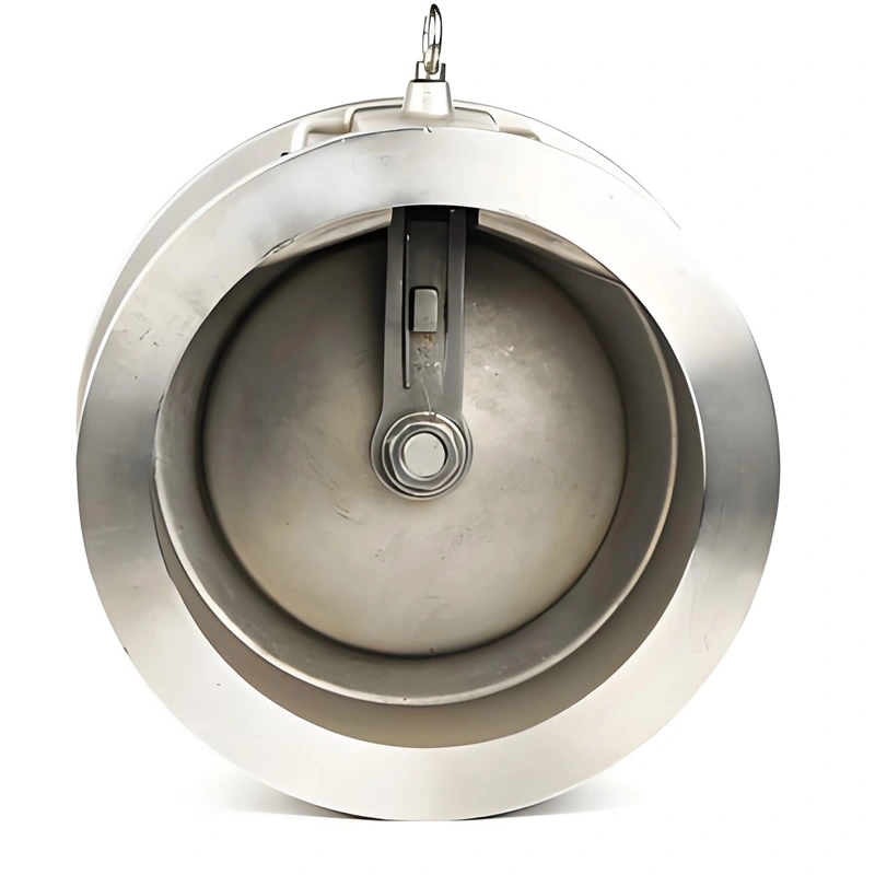 DN100 PN16 Cast Steel Wafer Type Single Disc Swing Check Valve