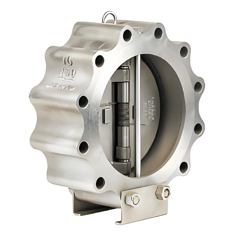 DN100 PN16 Lug Type Double Disc Swing Check Valves