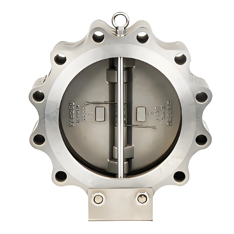 DN100 PN16 Lug Type Double Disc Swing Check Valves