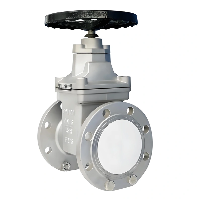 DN50-DN1200 PN16 Stainless Steel Gun Metal Rising Stem Soft Seal Gate Valve