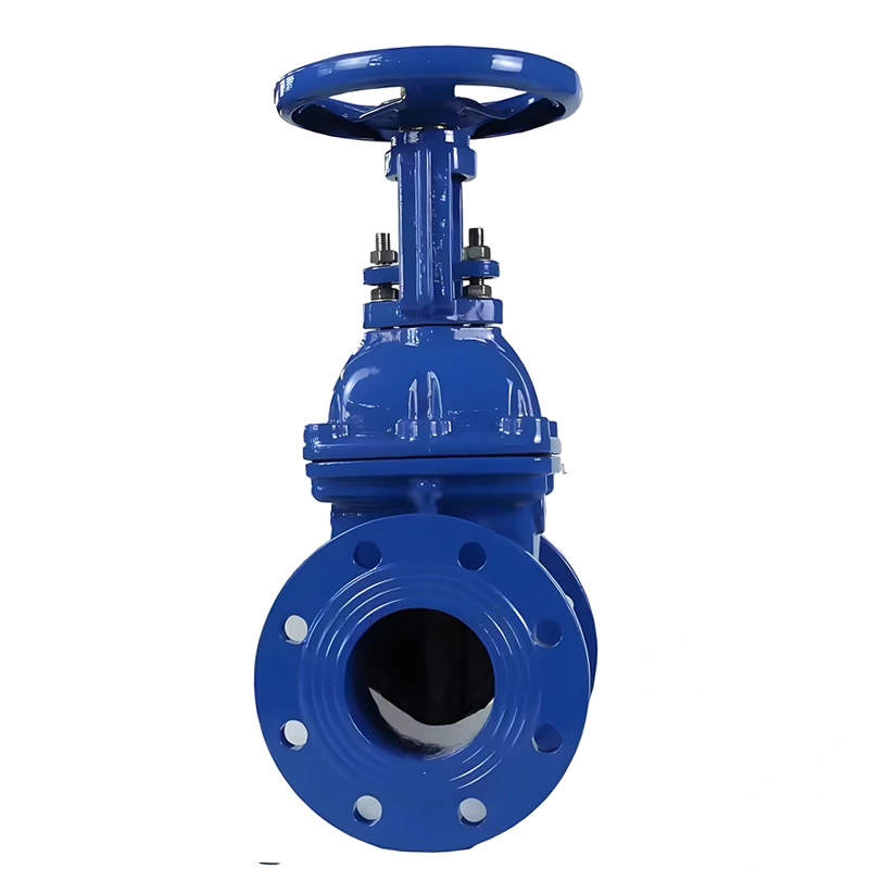 DN200 API609 Cast Iron Rising Stem Solid Wedge Gate Valve