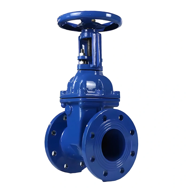 DN200 API609 Cast Iron Rising Stem Solid Wedge Gate Valve