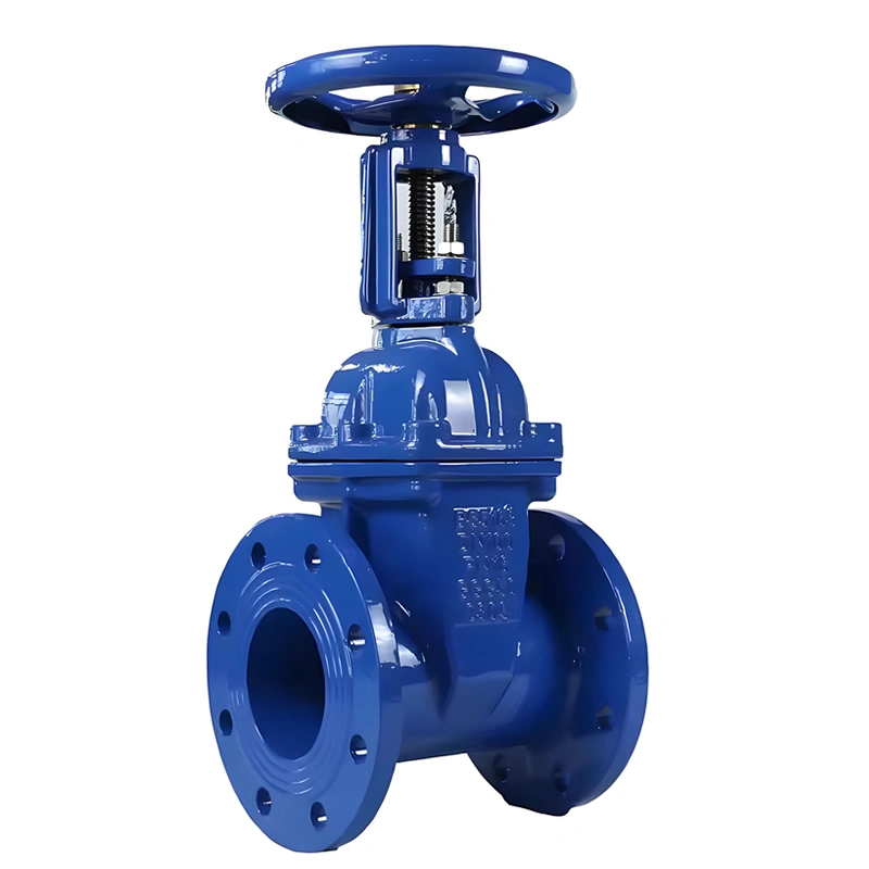 DN200 API609 Cast Iron Rising Stem Solid Wedge Gate Valve