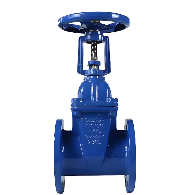 DN200 API609 Cast Iron Rising Stem Solid Wedge Gate Valve
