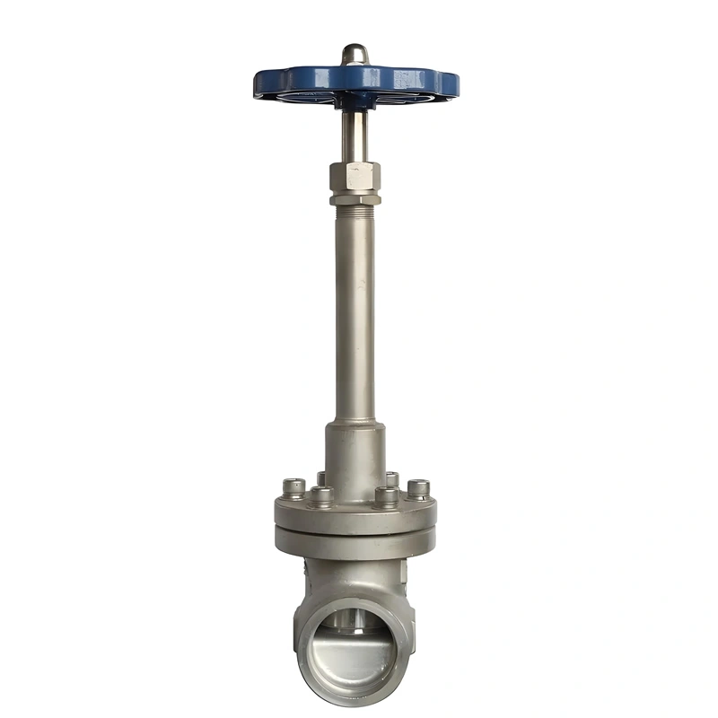 DN50 Industrial Leak-Proof Bellow Seal Globe Iron Bellow Seal Globe Valve