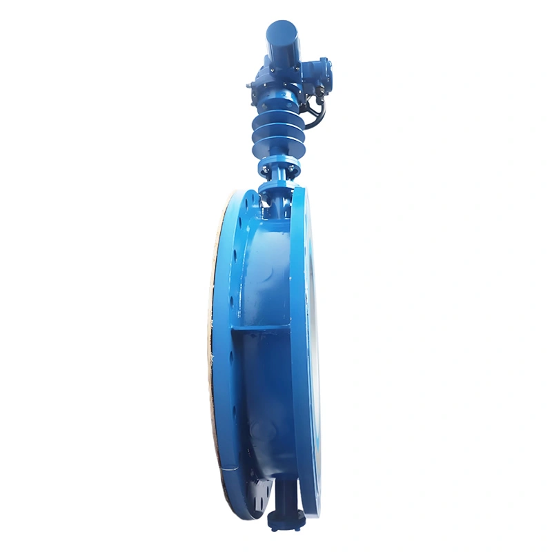 DN600 800LB PN10 SS321 High Temperature Hard Seal Butterfly Valve