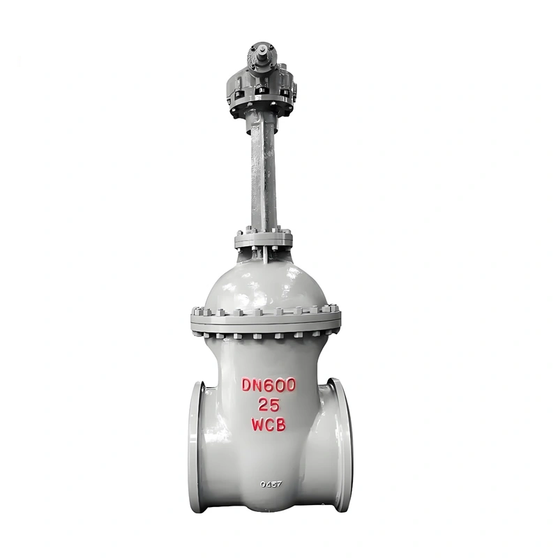 DN600 Manual Full-Bore WCB Cast Steel Wedge Gate Valve