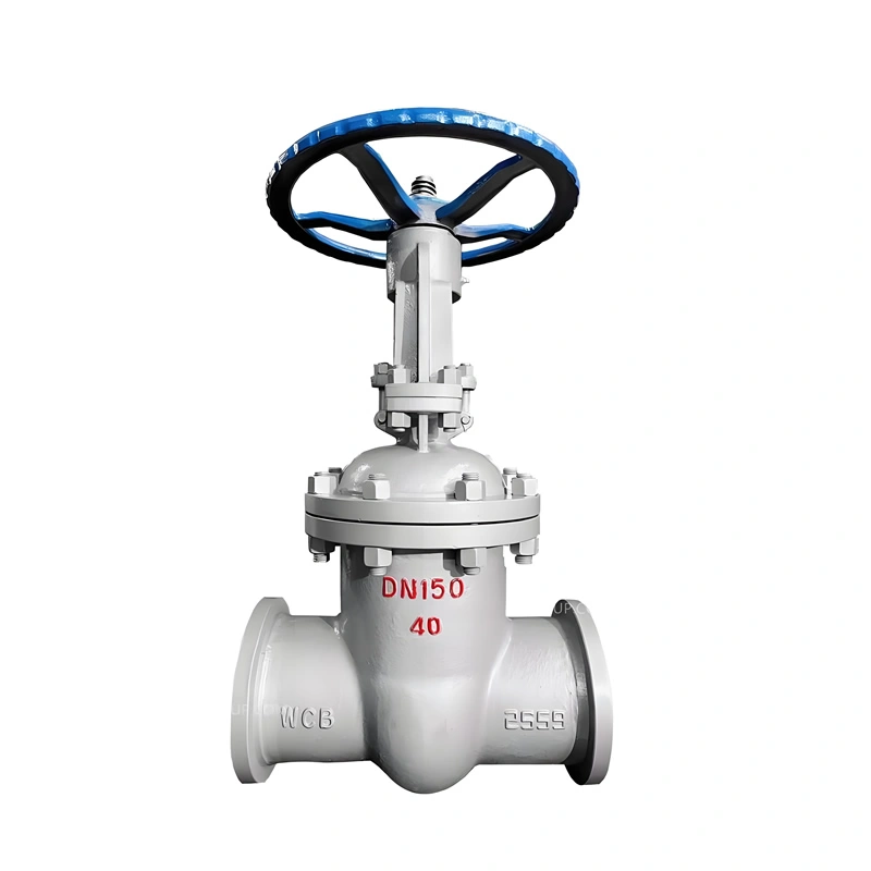 DN600 Manual Full-Bore WCB Cast Steel Wedge Gate Valve