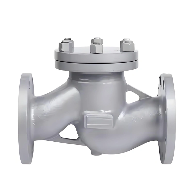 DN80 Hydraulic Vertical Swing Water Check Valve 