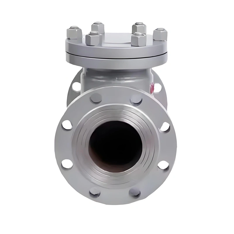 DN80 Hydraulic Vertical Swing Water Check Valve 