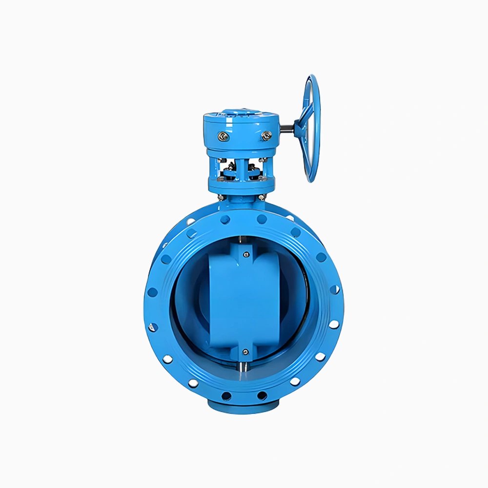 Double Offset Butterfly Valve