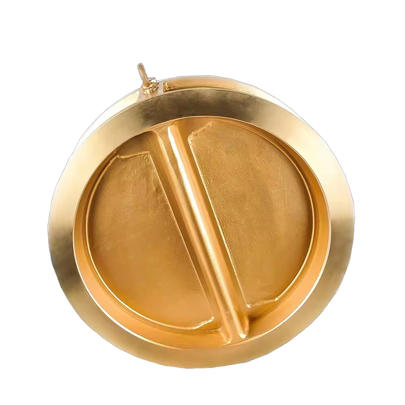 Dual Plate Brass Swing Double Disc Bronze Wafer Check Valve