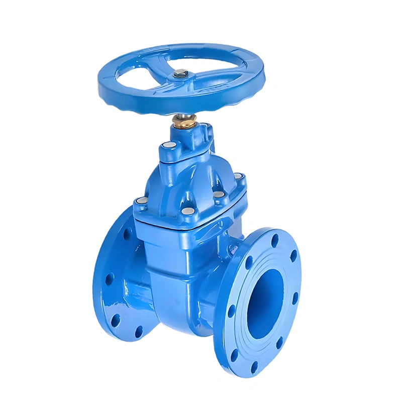 Ductile Iron Manual Fire Fighting Water Ductile Iron Flanged Gate Valve