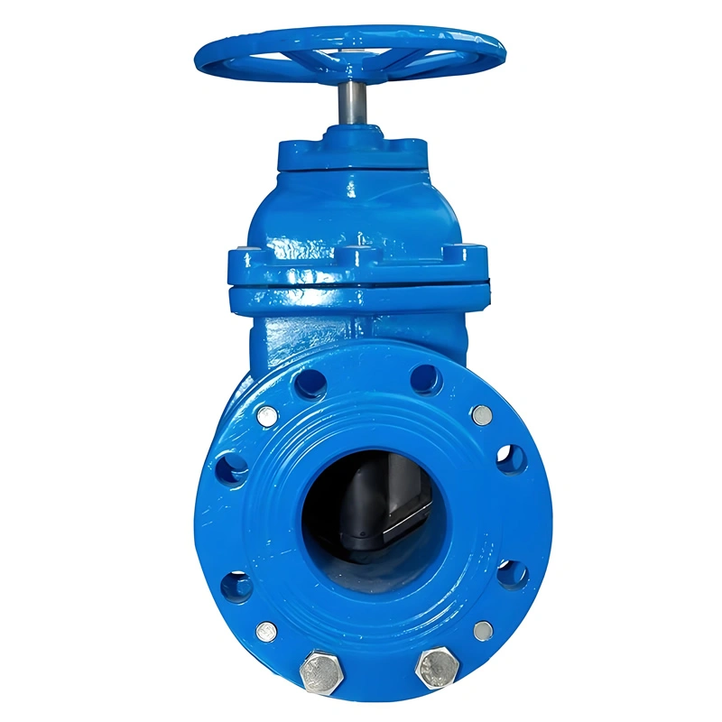 DN50 Ductile Iron Metal-Seated Flanged Connection Telescopic Soft Seal Mechanical Gate Valve