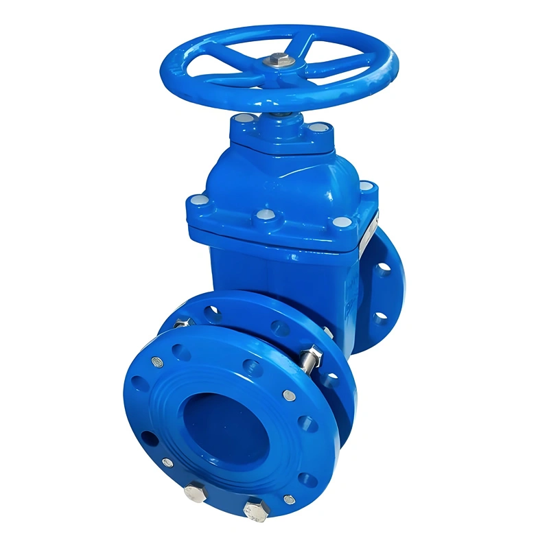DN50 Ductile Iron Metal-Seated Flanged Connection Telescopic Soft Seal Mechanical Gate Valve