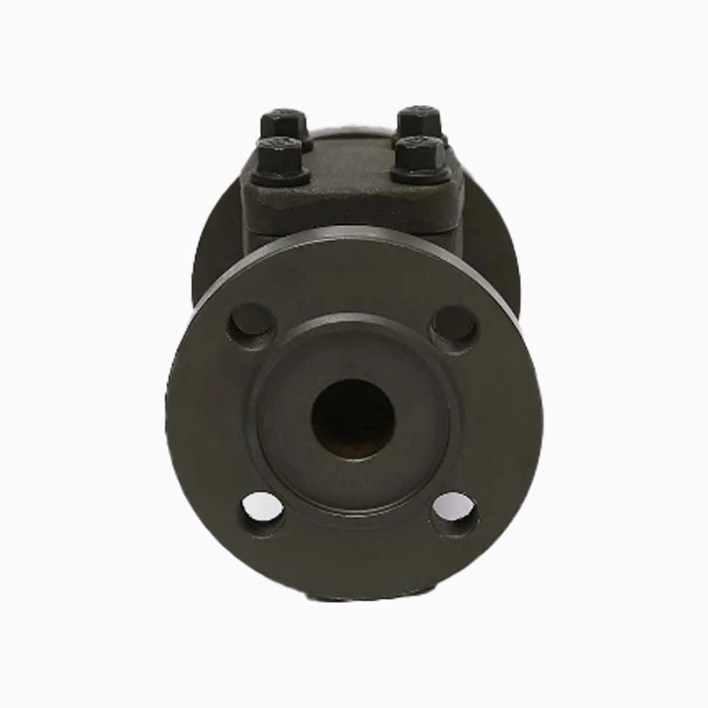 Forged Steel A105N 150LB RF FLANGE Check Valve