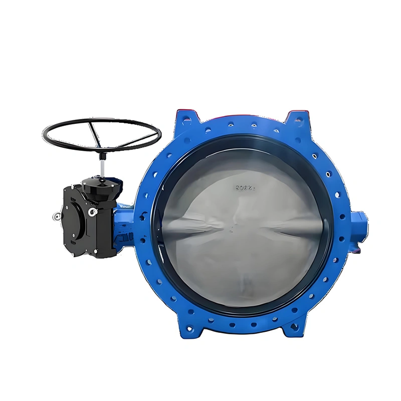 Large-diameter DN300-DN2800 Soft Seal Double Flanged Concentric Butterfly Valve