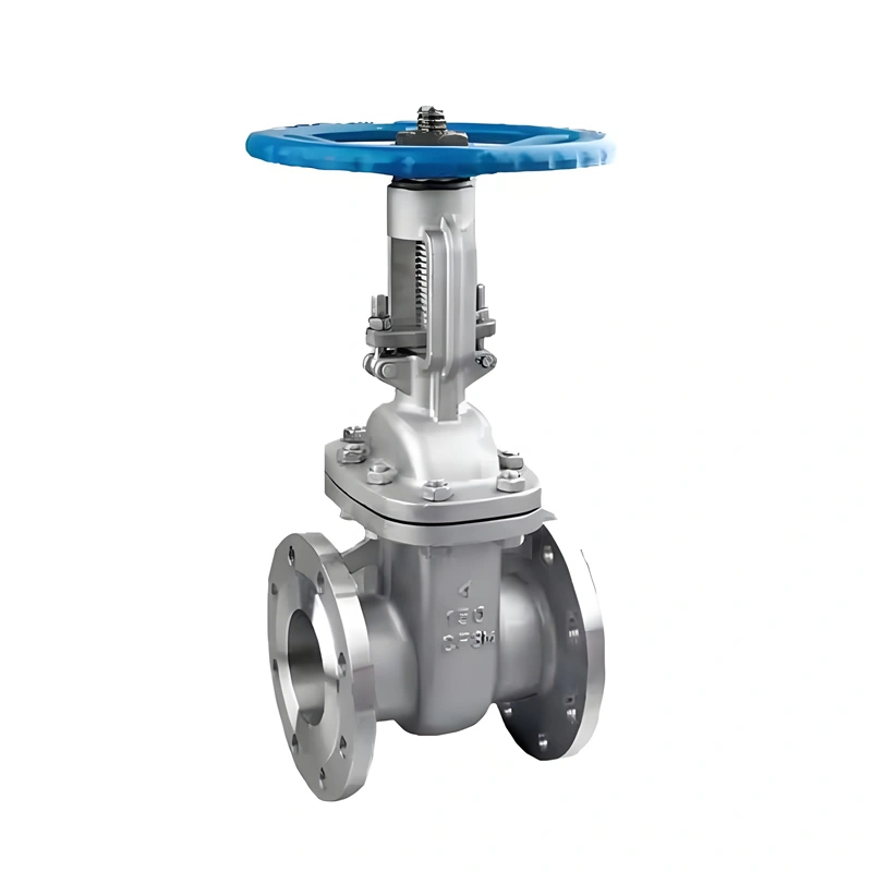 SS304 Stainless Steel Two Ways ANSI Solid Wedge Cast Iron Manual Control Gate Valve