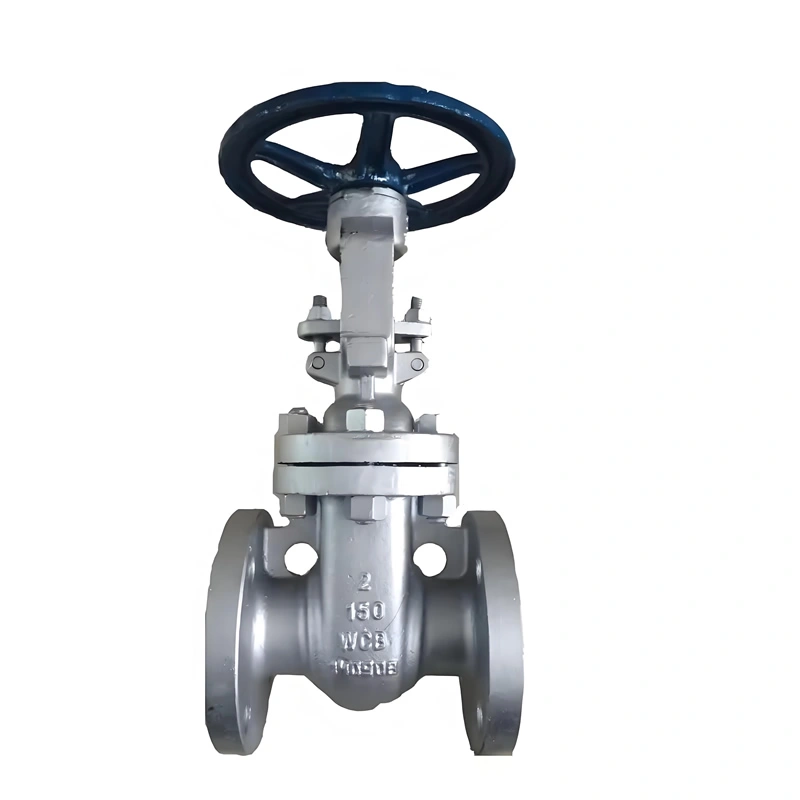 SS304 Stainless Steel Two Ways ANSI Solid Wedge Cast Iron Manual Control Gate Valve