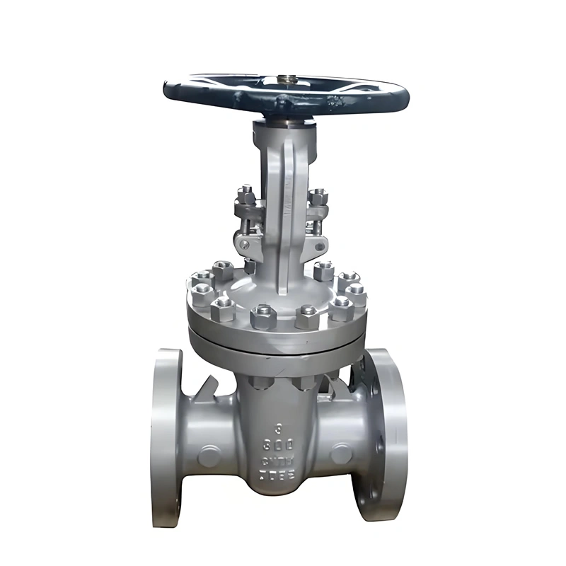 SS304 Stainless Steel Two Ways ANSI Solid Wedge Cast Iron Manual Control Gate Valve