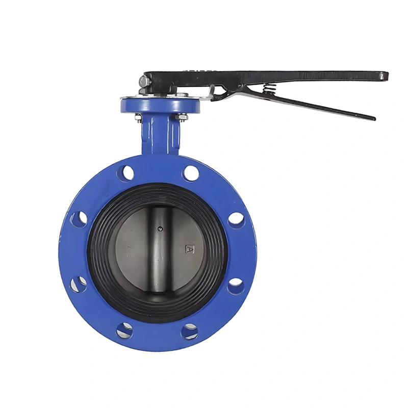 Soft Sealing Cast Iron Gear Operated Concentric Double Flanged Butterfly Valve