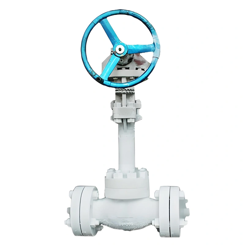 Stainless Steel High-Pressure Cryogenic LNG LOX Petrochemical Application Globe Valve