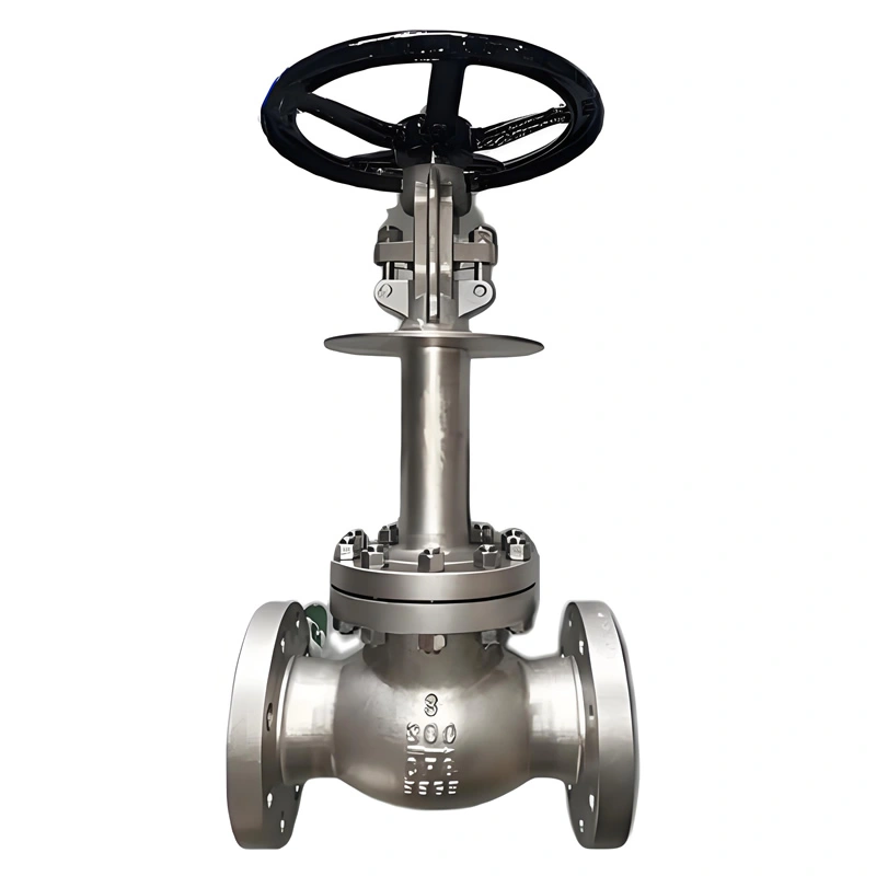 Stainless Steel High-Pressure Cryogenic LNG LOX Petrochemical Application Globe Valve